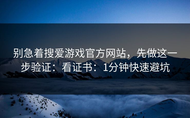 别急着搜爱游戏官方网站，先做这一步验证：看证书：1分钟快速避坑